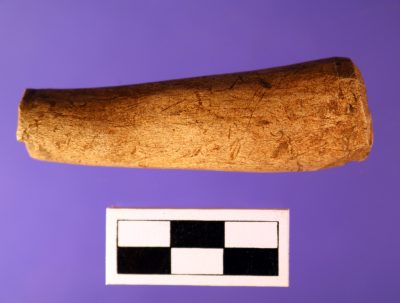 bone handle